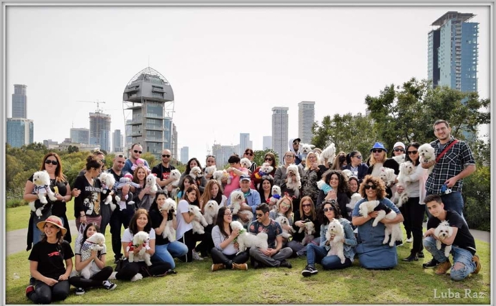 picture of the group